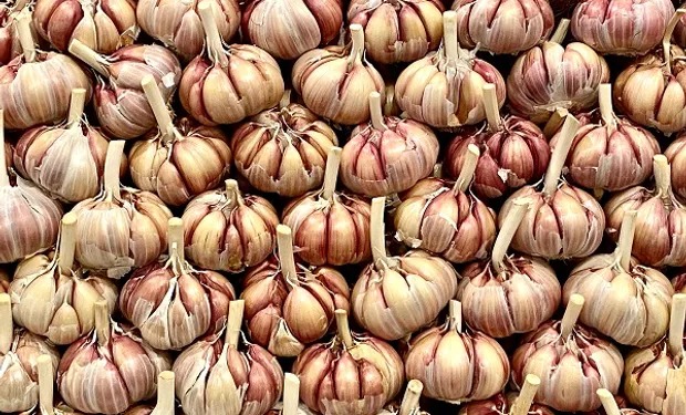 Aplican multa de US$15 millones contra una empresa agropecuaria: conocé como era la maniobra que terminó en un caso emblemático