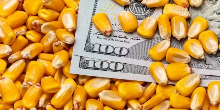Los ingresos por dólar agro superaron las previsiones y alcanzaron USD 1.000 millones en seis días