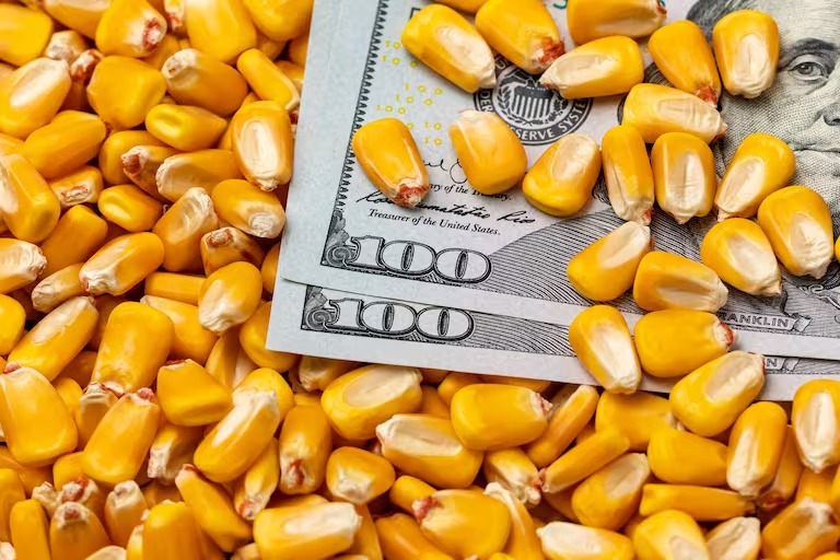 Los ingresos por dólar agro superaron las previsiones y alcanzaron USD 1.000 millones en seis días