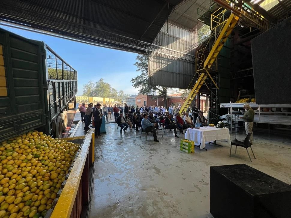 Una empresa tucumana procesa más de 65.000 toneladas de limón al año