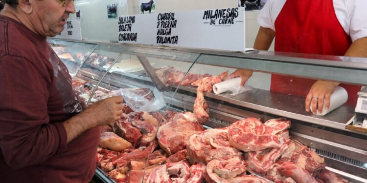Carne: “El ‘dólar maíz’ se convirtió en un castigo para los consumidores”