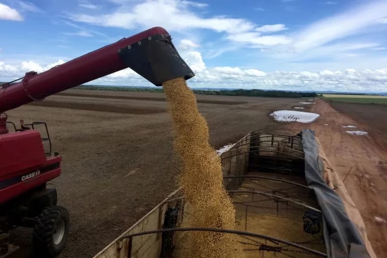 Por la sequía, Argentina perdió ante Brasil su condición de primer exportador mundial de harina de soja