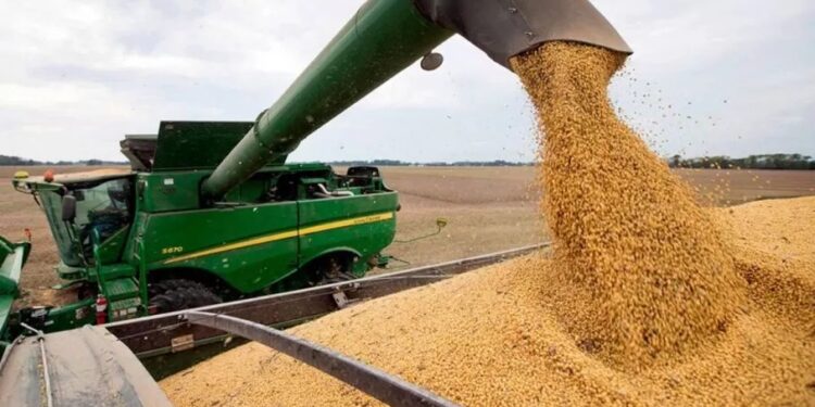 El Agro insiste en que se unifique el tipo de cambio