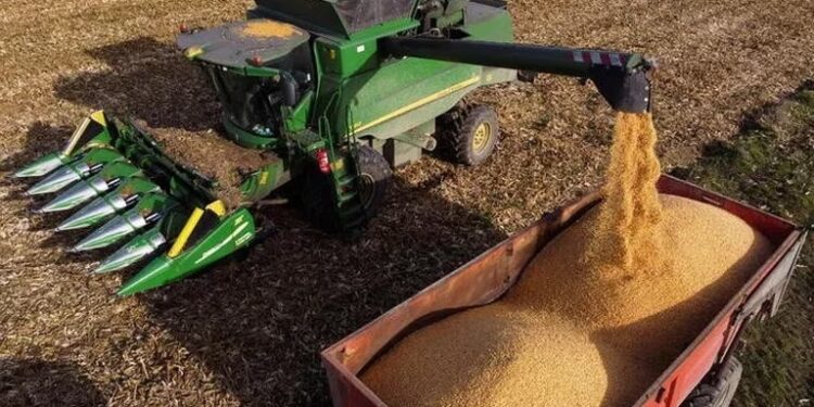 La liquidación de dólar agro alcanzaría la meta oficial de USD 2.000 millones esta semana