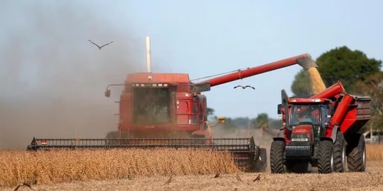 La cosecha de soja que viene: por primera vez en 9 años aumentaría en un millón de hectáreas el área sembrada