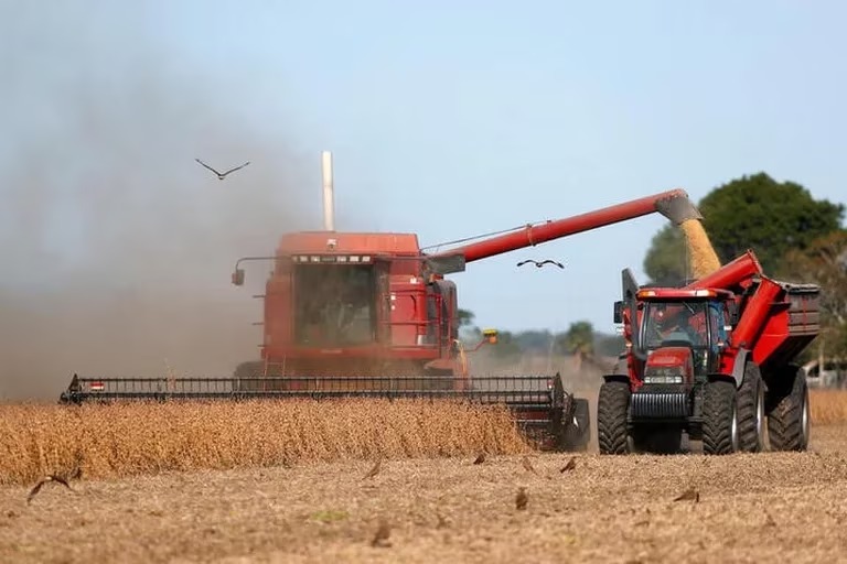 La cosecha de soja que viene: por primera vez en 9 años aumentaría en un millón de hectáreas el área sembrada