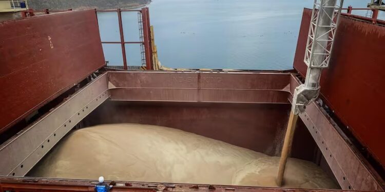 Asfixiar al Mar Negro para oxigenar el Arábigo: el nuevo plan estratégico, logístico y monetario del trigo ruso