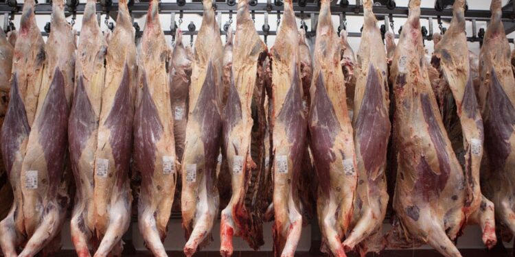 Se achica la oferta de carne: la faena cayó en julio y se estima que seguirá a la baja en agosto