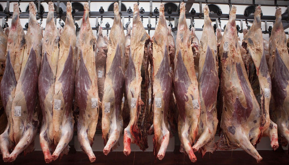 Se achica la oferta de carne: la faena cayó en julio y se estima que seguirá a la baja en agosto
