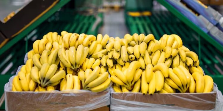 El gobierno estableció nuevos controles para la importación de bananas