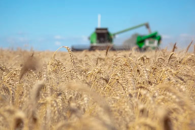 Las exportaciones del agro podrían recuperarse un 33% en 2024 y sumarle USD 8.000 millones al próximo gobierno