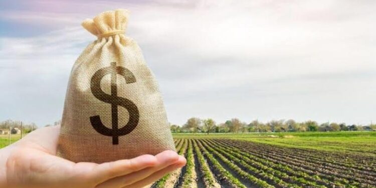 Opciones financieras para el agro en tiempos de incertidumbre