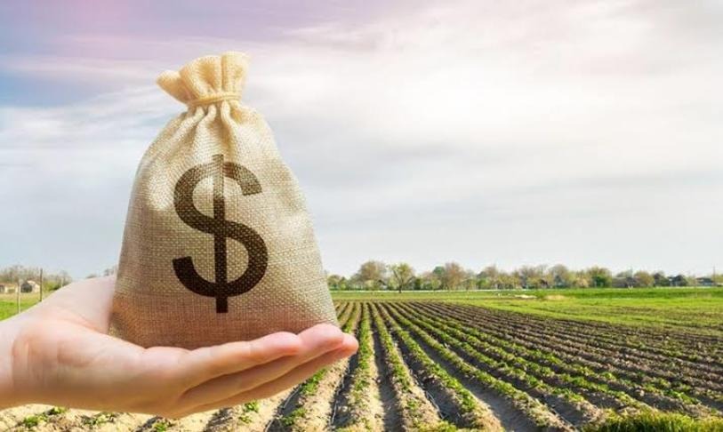 Opciones financieras para el agro en tiempos de incertidumbre