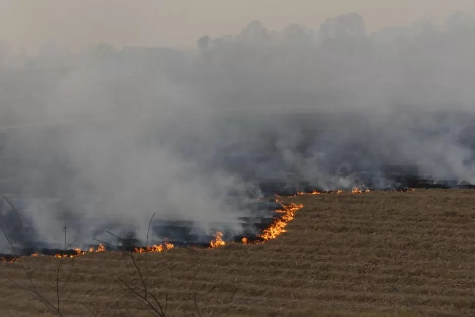 Cañeros se desligan de los incendios en sus campos