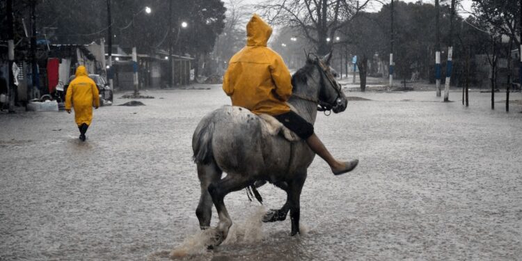 Inundaciones en La Plata: compensarán con $ 2.400 millones a productores frutihortícolas