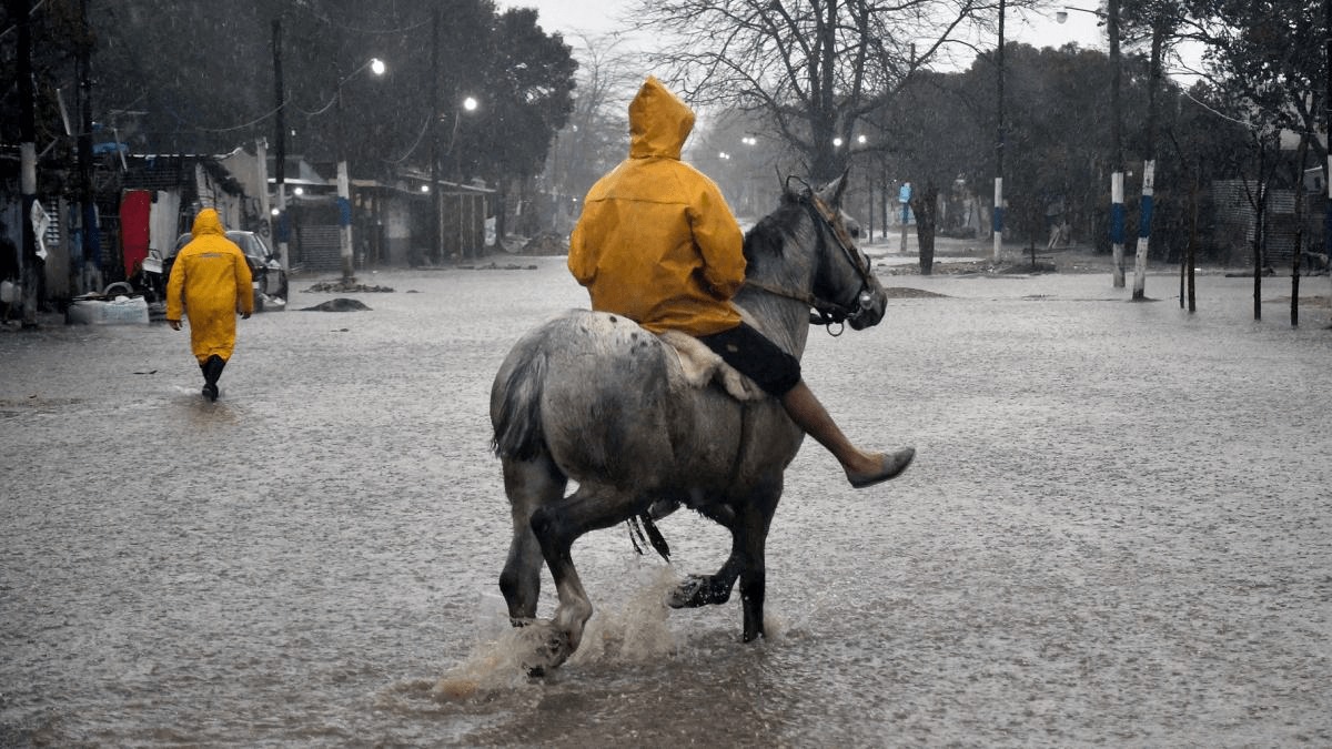 Inundaciones en La Plata: compensarán con $ 2.400 millones a productores frutihortícolas