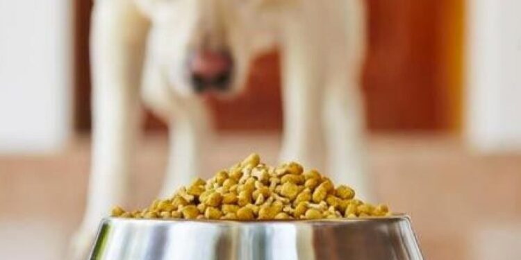 Alerta en la industria de alimentos balanceados: “Empezamos a entrar en default con los proveedores”