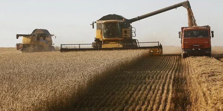 Chacareros en problemas: la situación financiera del 80% de productores empeoró en los últimos meses