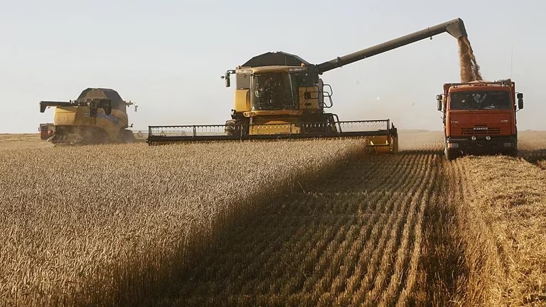Chacareros en problemas: la situación financiera del 80% de productores empeoró en los últimos meses