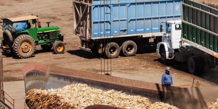 La zafra avanzó un 66% y quedaría caña hasta octubre