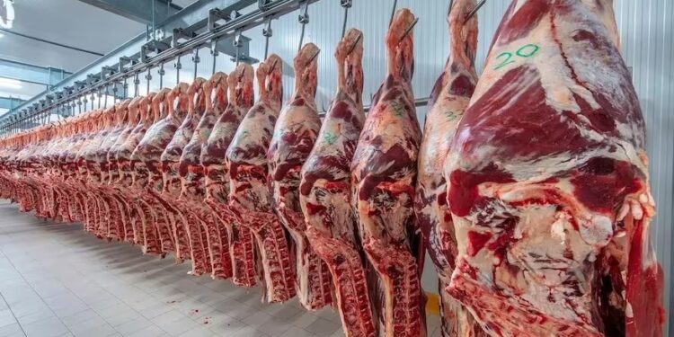 “Se atrasan”: alertan que hay demoras en las exportaciones de carne vacuna por estrictos controles de la Aduana