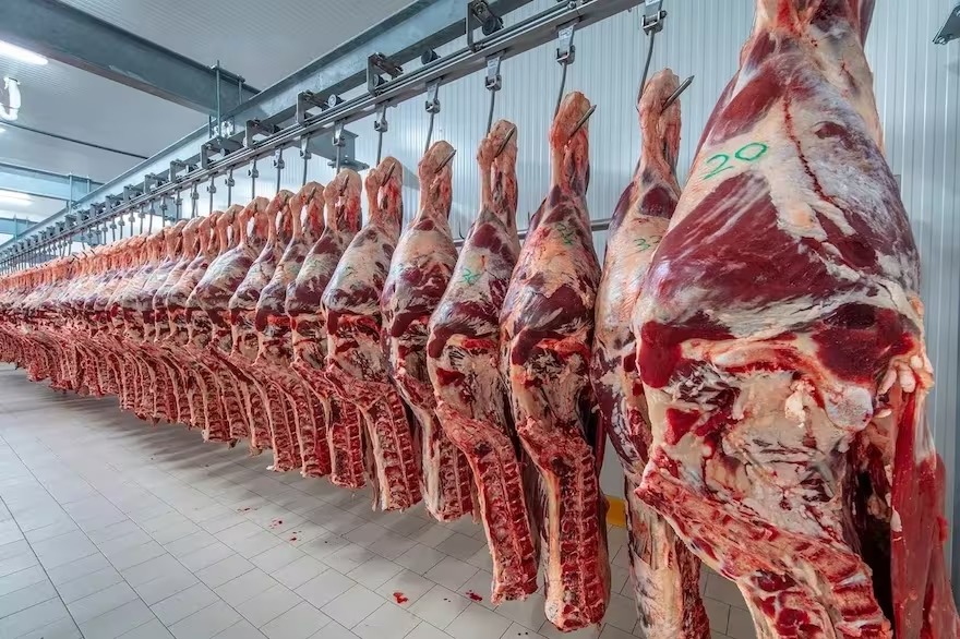 “Se atrasan”: alertan que hay demoras en las exportaciones de carne vacuna por estrictos controles de la Aduana