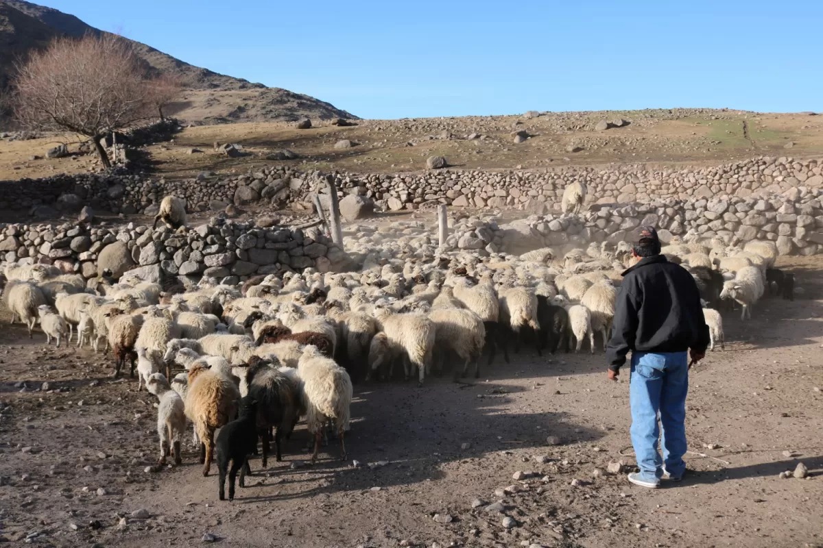 El Senasa visitó La Ciénaga para controlar la hidatidosis