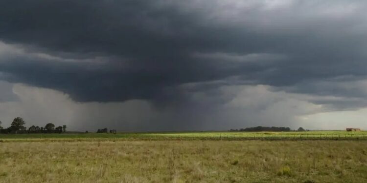 El fenómeno de «El Niño» comenzó oficialmente en Argentina: cuáles son sus efectos y qué se espera para este trimestre