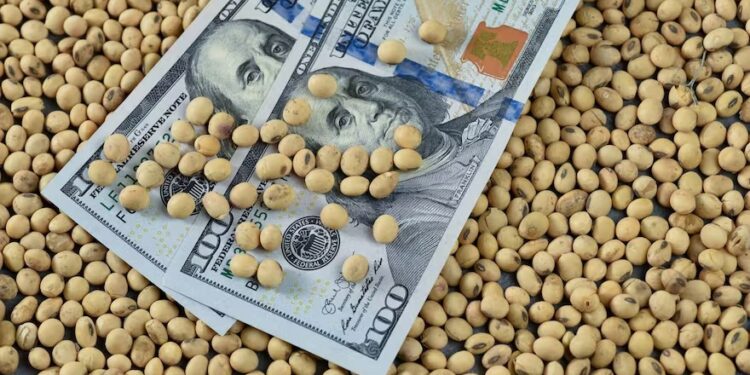 Dólar soja: es inminente la oficialización del nuevo esquema para incentivar la venta de los productores