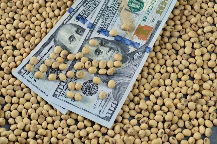 Dólar soja: es inminente la oficialización del nuevo esquema para incentivar la venta de los productores