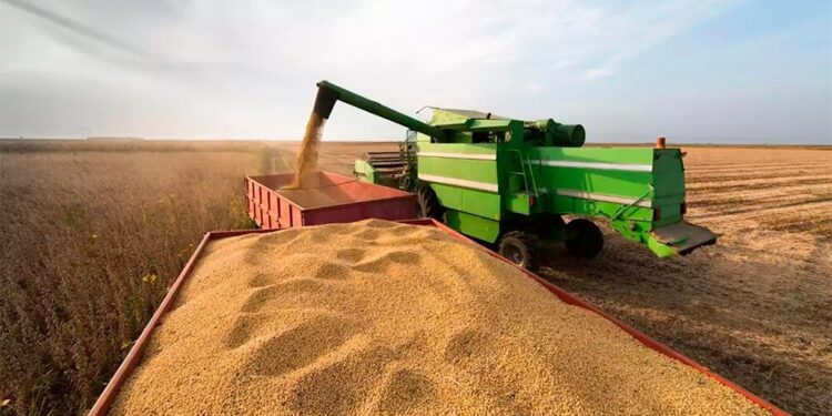 Brasil va por otro año con cosecha récord de granos: 322 millones de toneladas