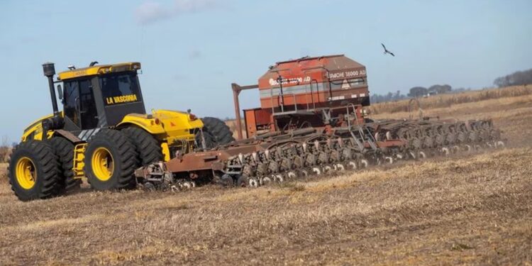 El campo en 2024: proyectan que la producción aumentará un 70% e ingresarían más de USD 34.000 millones por exportaciones