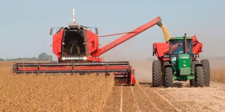 El campo se ilusiona con dejar atrás la sequía: se espera un salto de 138% en la producción de soja y de 60% en maíz
