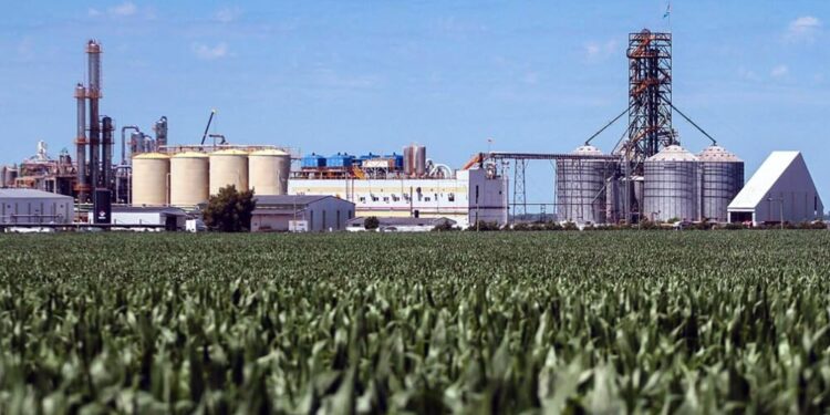 El gobierno acelera los pasos para aumentar la oferta de bioetanol
