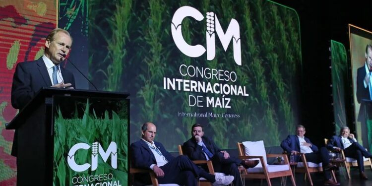 La cadena maicera pidió producir “sin penalizaciones” y aprovechar las “oportunidades” para que el cultivo crezca