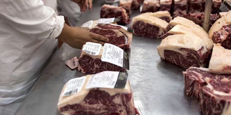 Preocupación: se desaceleró la faena de hacienda y los frigoríficos acortan su trabajo semanal