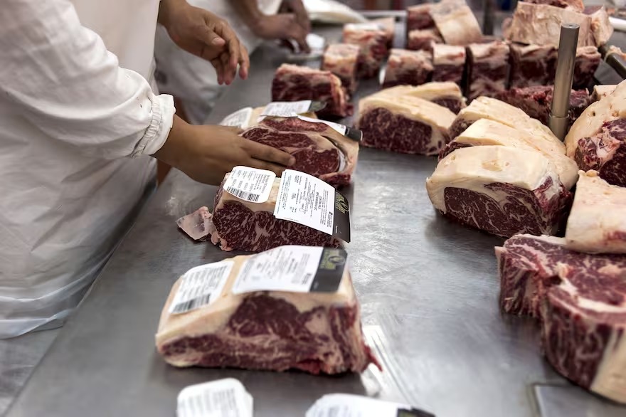 Preocupación: se desaceleró la faena de hacienda y los frigoríficos acortan su trabajo semanal