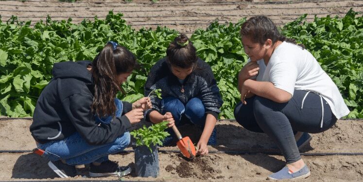 Financiamiento: Agricultura abrió convocatorias para escuelas agrotécnicas y para “mujeres produciendo alimentos”