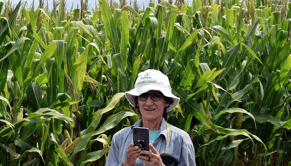 La agrónoma e investigadora que fue clave para la “revolución” del maíz tardío