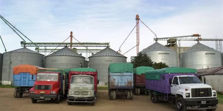 “Enorme preocupación”: transportistas de cargas alertan sobre un faltante de gasoil y piden la intervención del gobierno