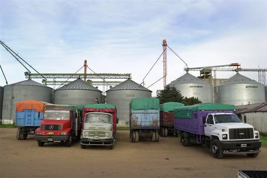 “Enorme preocupación”: transportistas de cargas alertan sobre un faltante de gasoil y piden la intervención del gobierno