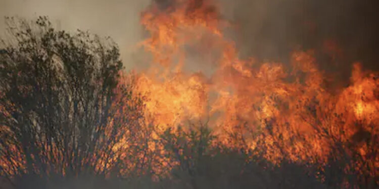 Incendios en Córdoba: otra rotación del viento obliga a sumar más evacuados