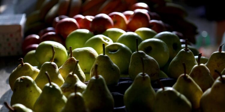 Maní, frutas y oliva “maquillaron” en parte el desplome en las exportaciones agroindustriales
