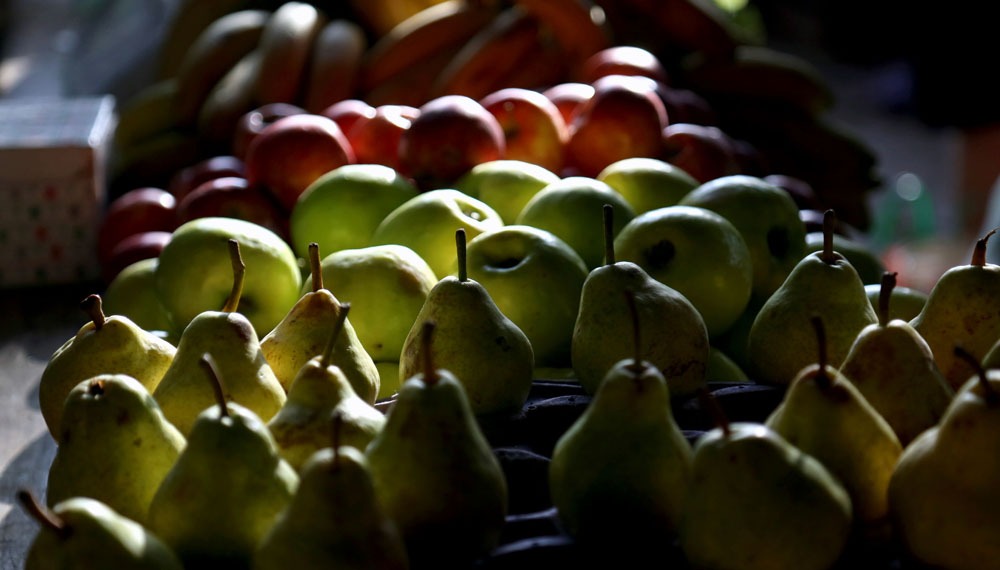 Maní, frutas y oliva “maquillaron” en parte el desplome en las exportaciones agroindustriales
