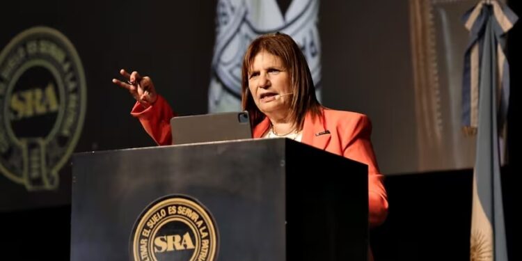 “Cuando fueron por vos me viste ahí”: la carta de Patricia Bullrich al campo para que la vote