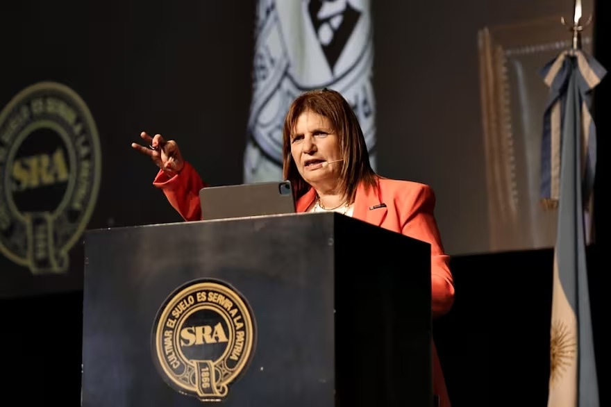 “Cuando fueron por vos me viste ahí”: la carta de Patricia Bullrich al campo para que la vote