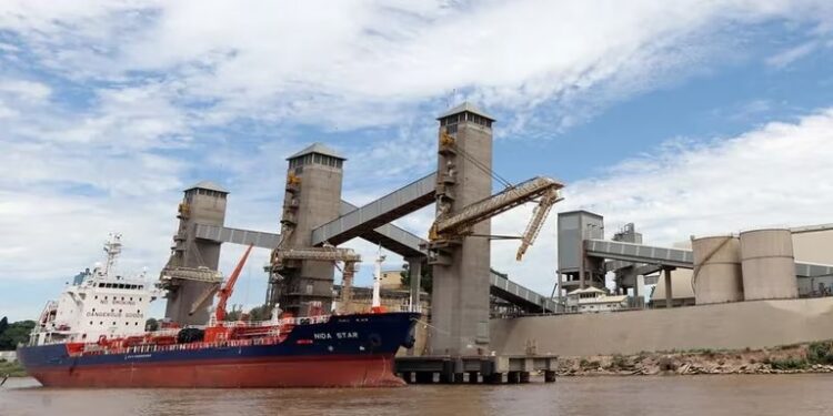 La liquidación de divisas del agro volvió a decepcionar en septiembre: en lo que va de 2023 entraron la mitad de dólares que el año pasado