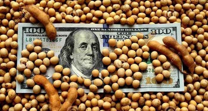 Balance de la primera etapa del plan «Dólar Soja 4»