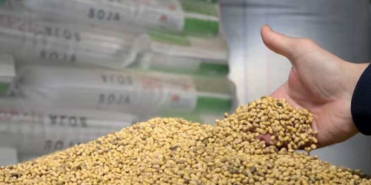 Después de 25 años: la Argentina perdió el primer lugar como exportador del producto que más dólares genera