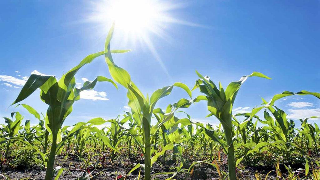 Una masa de aire polar cortará con el calor y traerá heladas tardías, pero no lluvias